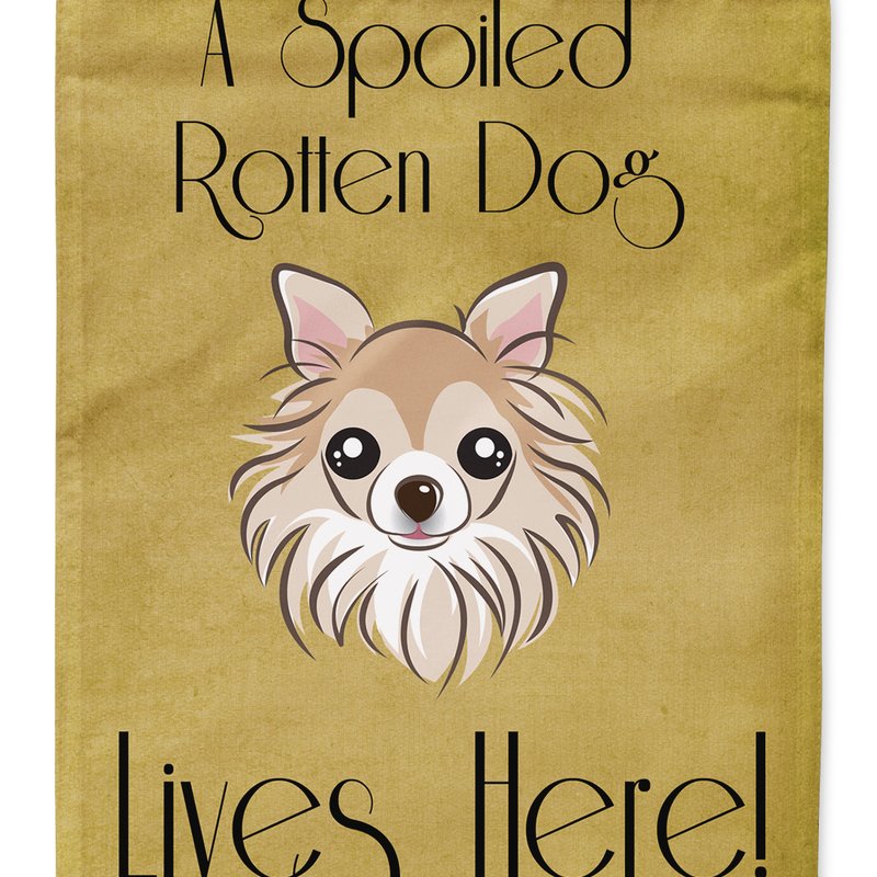 Caroline's Treasures 11 X 15 1/2 In. Polyester Chihuahua Spoiled Dog Lives Here Garden Flag 2-sided 2-ply