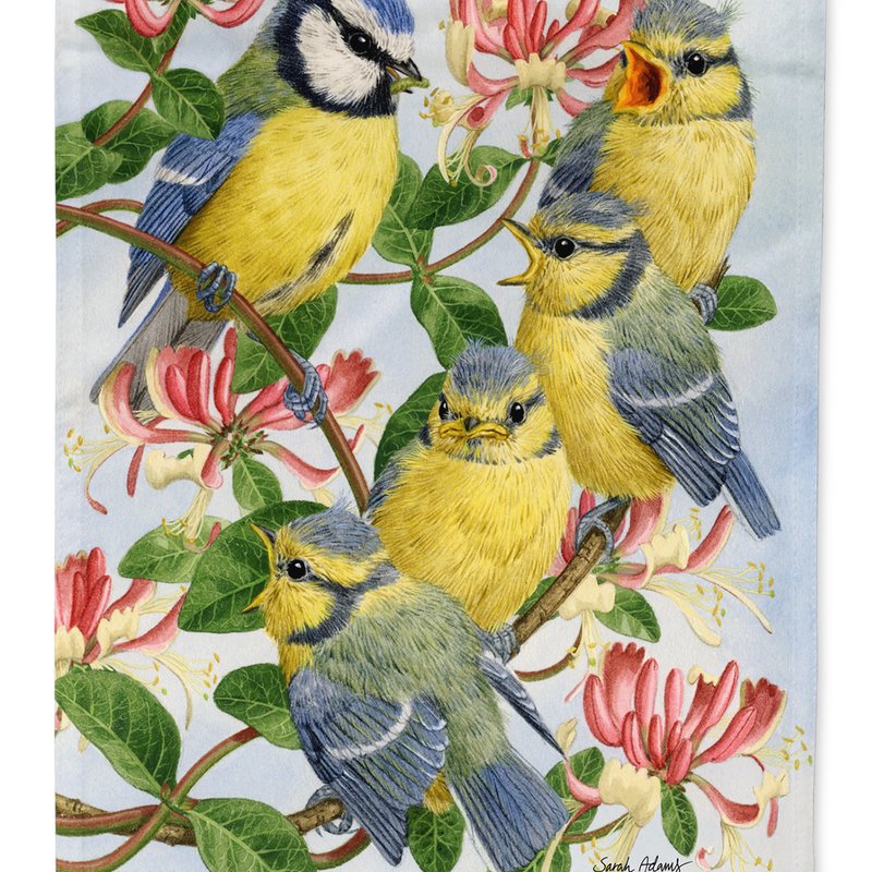 Caroline's Treasures 11 X 15 1/2 In. Polyester Eurasian Blue Tits At Feeding Time Garden Flag 2-sided 2-ply