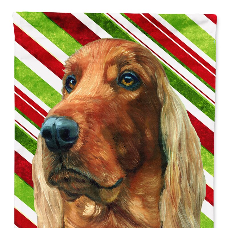 Caroline's Treasures 11 X 15 1/2 In. Polyester Irish Setter Candy Cane Holiday Christmas Garden Flag 2-sided 2-ply