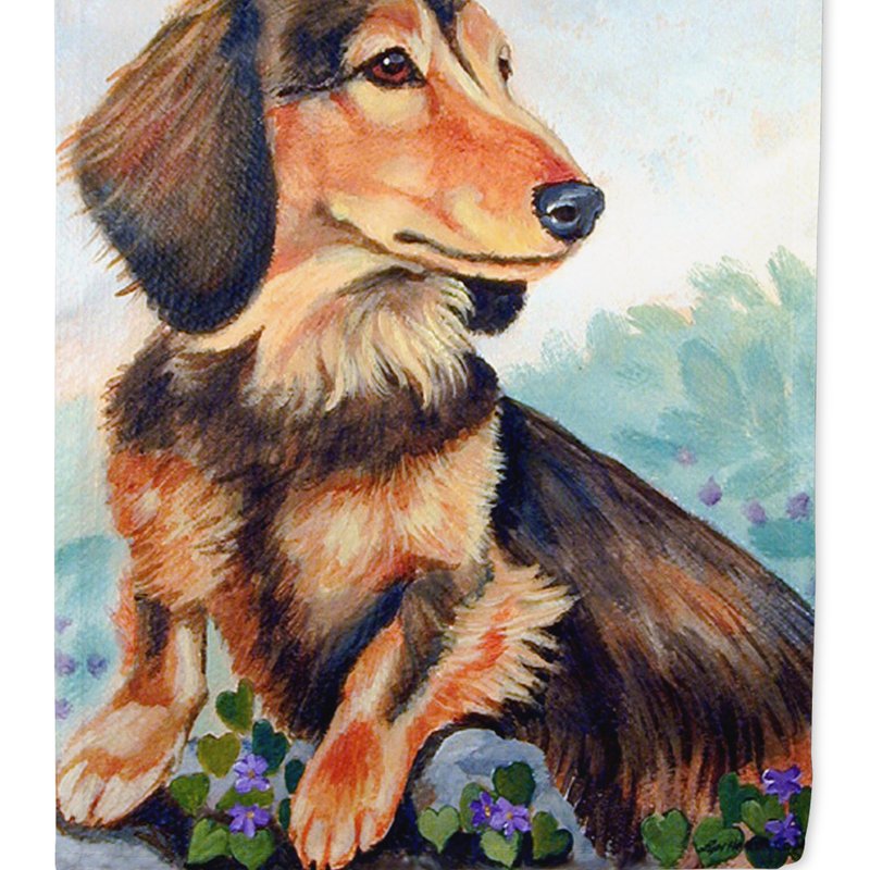 Caroline's Treasures 11 X 15 1/2 In. Polyester Long Hair Chocolate And Cream Dachshund Garden Flag 2-sided 2-ply In Animal Print
