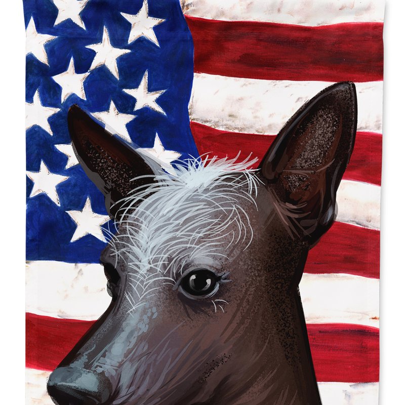 Caroline's Treasures 11 X 15 1/2 In. Polyester Mexican Hairless Dog American Flag Garden Flag 2-sided 2-ply