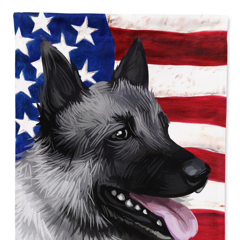 Caroline's Treasures 11 X 15 1/2 In. Polyester Norwegian Elkhound Dog American Flag Garden Flag 2-sided 2-ply
