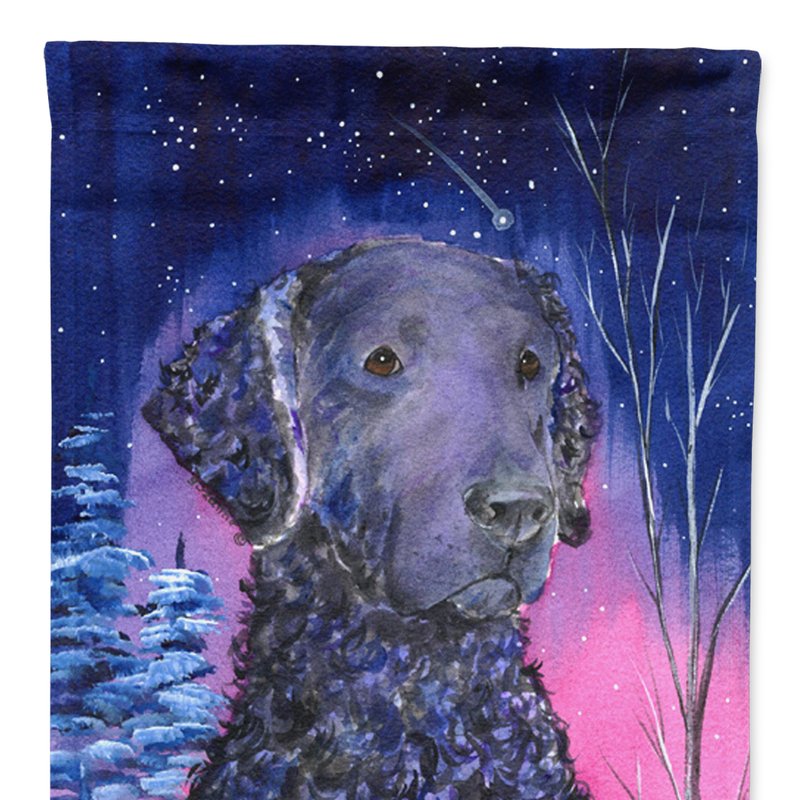 Caroline's Treasures 11 X 15 1/2 In. Polyester Starry Night Curly Coated Retriever Garden Flag 2-sided 2-ply In Animal Print