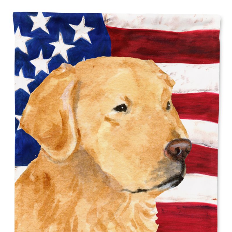 Caroline's Treasures 11 X 15 1/2 In. Polyester Usa American Flag With Golden Retriever Garden Flag 2-sided 2-ply In Animal Print