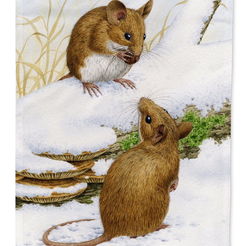 Caroline's Treasures 11 X 15 1/2 In. Polyester Wood Mice Wood Mouse Garden Flag 2-sided 2-ply