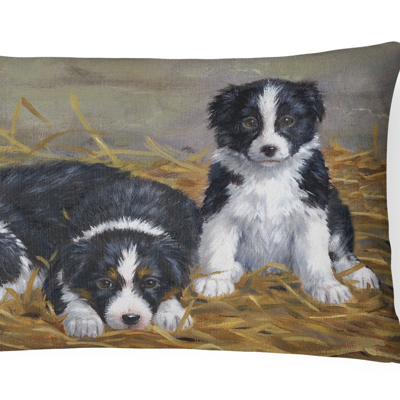 Caroline's Treasures 12 In X 16 In Outdoor Throw Pillow Border Collie Puppies Canvas Fabric Decorative Pillow In Black