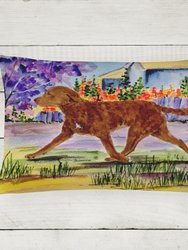 12 in x 16 in  Outdoor Throw Pillow Chesapeake Bay Retriever Canvas Fabric Decorative Pillow