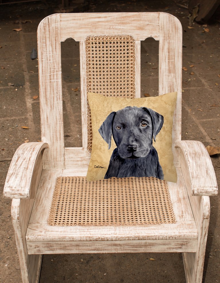 14 in x 14 in Outdoor Throw PillowLabrador Wipe your Paws Fabric Decorative Pillow