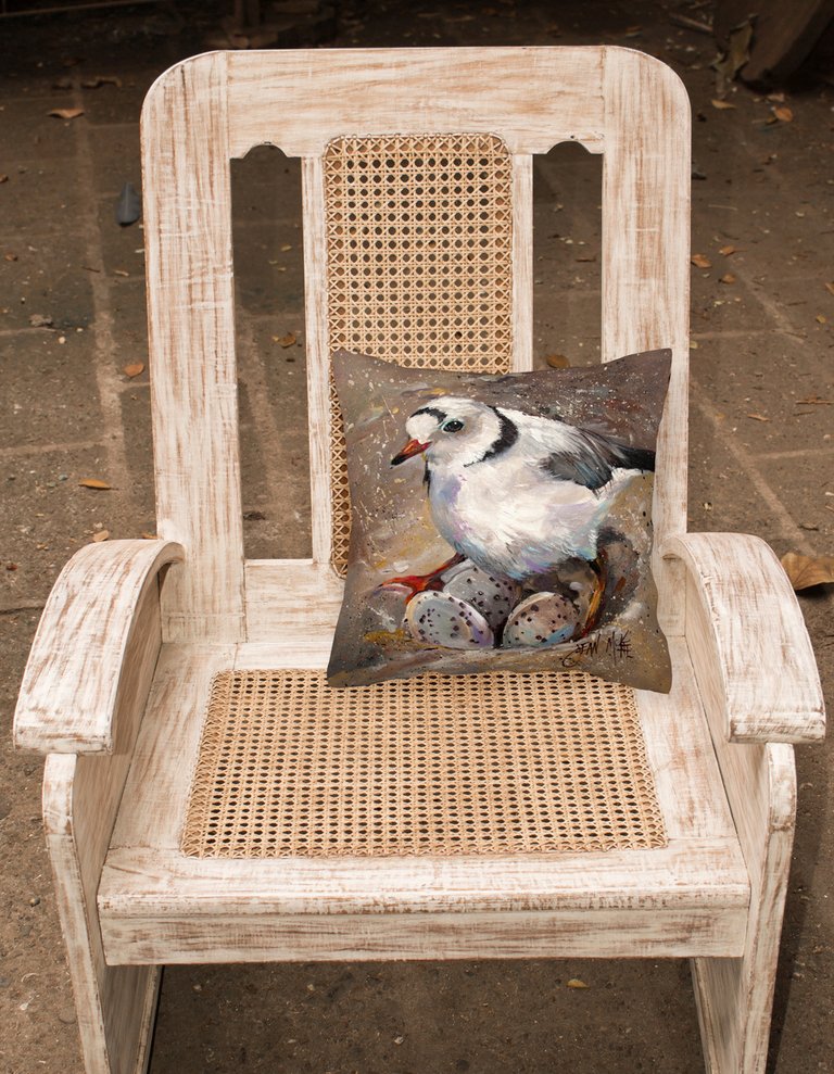 14 in x 14 in Outdoor Throw PillowPiping Plover Fabric Decorative Pillow