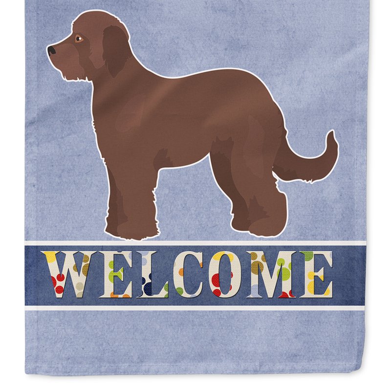 Caroline's Treasures 28 X 40 In. Polyester Brown Goldendoodle Welcome Flag Canvas House Size 2-sided Heavyweight In Blue