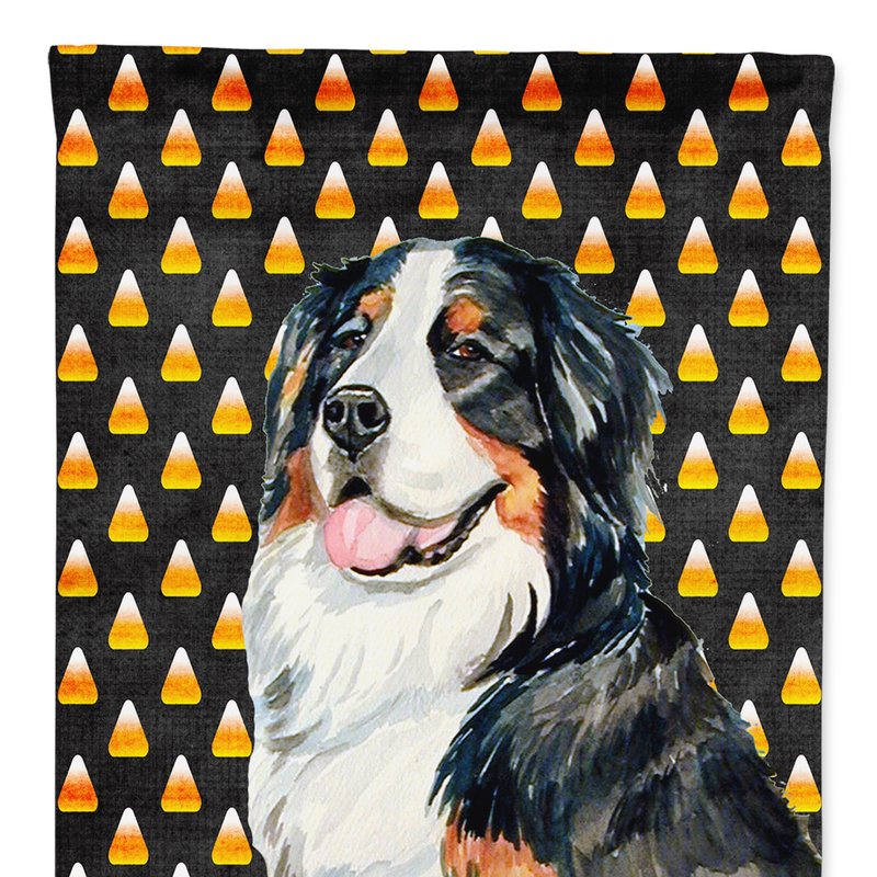 Caroline's Treasures Bernese Mountain Dog Candy Corn Halloween Portrait Garden Flag 2-sided 2-ply In Black