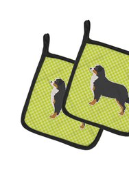 Bernese Mountain Dog Checkerboard Green Pair of Pot Holders