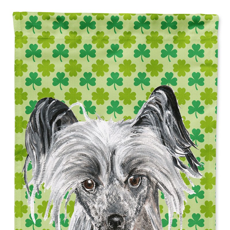 Caroline's Treasures Chinese Crested Lucky Shamrock St. Patrick's Day Garden Flag 2-sided 2-ply In Gray