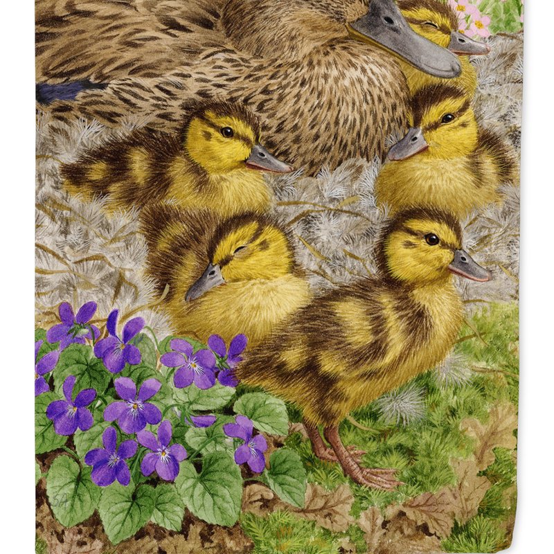 Caroline's Treasures Female Mallard Duck And Ducklings Garden Flag 2-sided 2-ply In Multi
