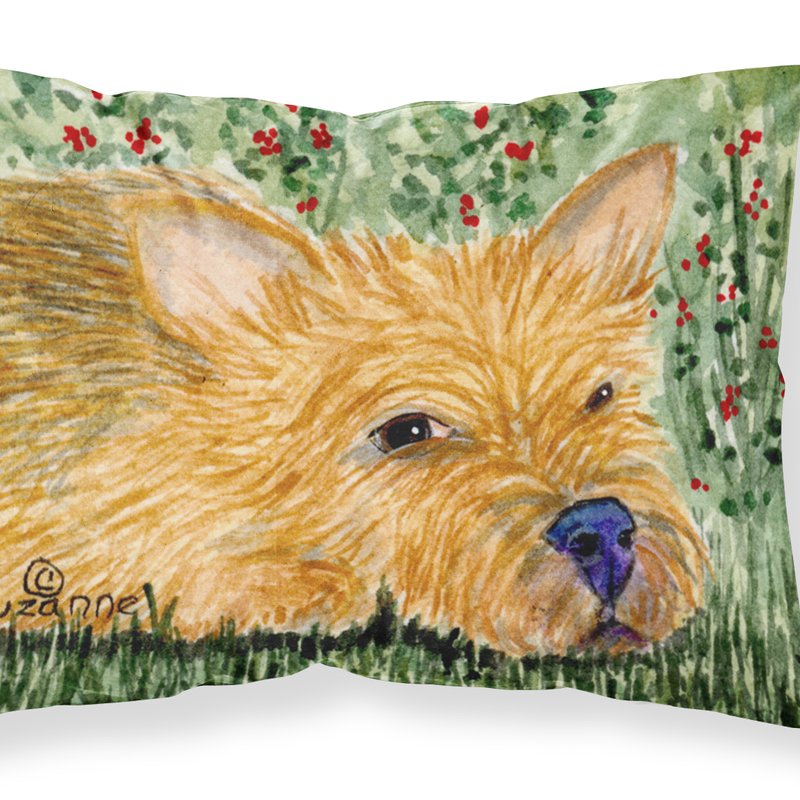 Caroline's Treasures Norwich Terrier Fabric Standard Pillowcase In Green