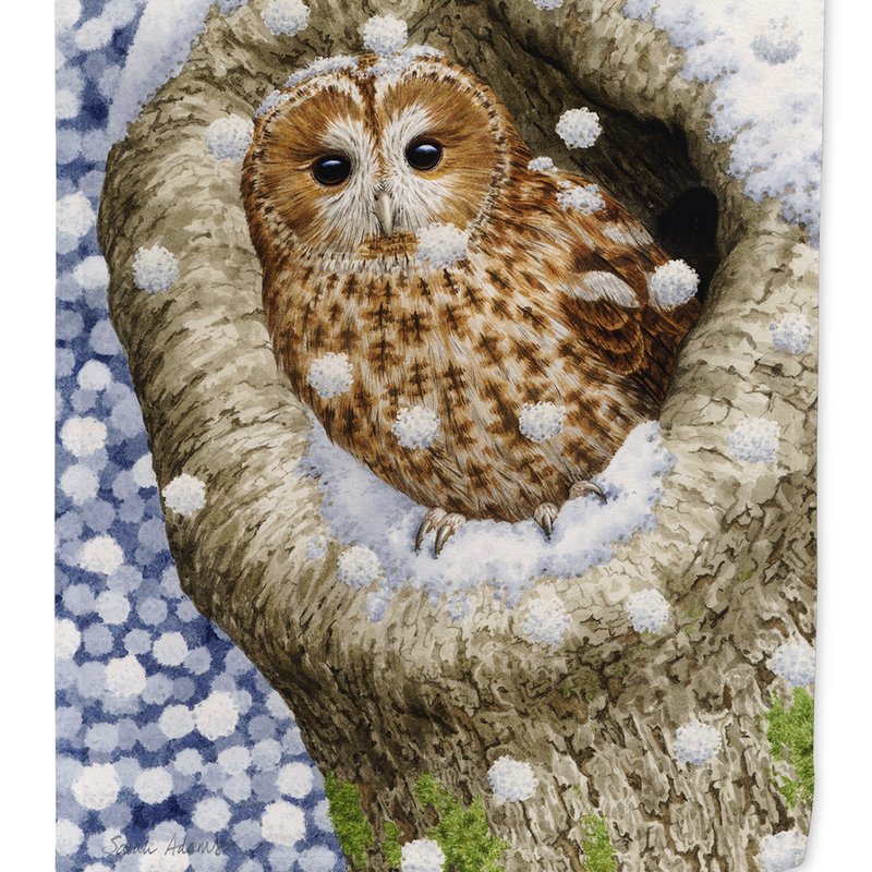 Caroline's Treasures Tawny Owl In The Tree Garden Flag 2-sided 2-ply