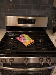 Watercolor Rainbow Geometric Circles Oven Mitt