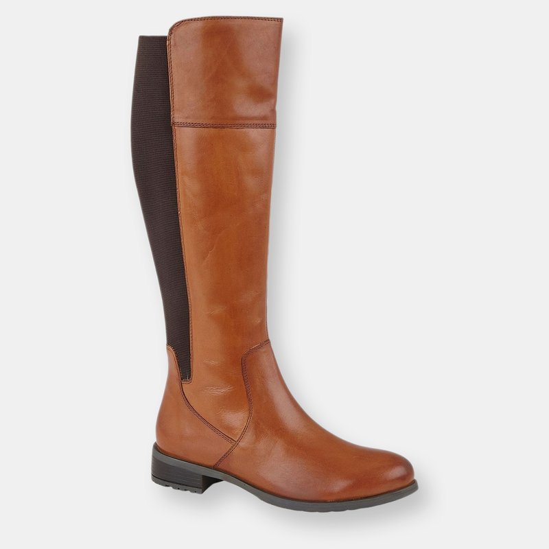 Cipriata Womens/ladies Silvia Leather Zip High Leg Boot In Brown
