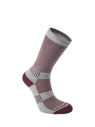 Craghoppers Craghoppers Womens/Ladies Temperature Control Socks (Grey Marl/Wild Berry) product