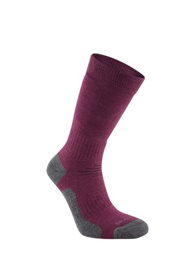 Craghoppers Unisex Adult Trek Merino Wool Socks - Wildberry Purple product