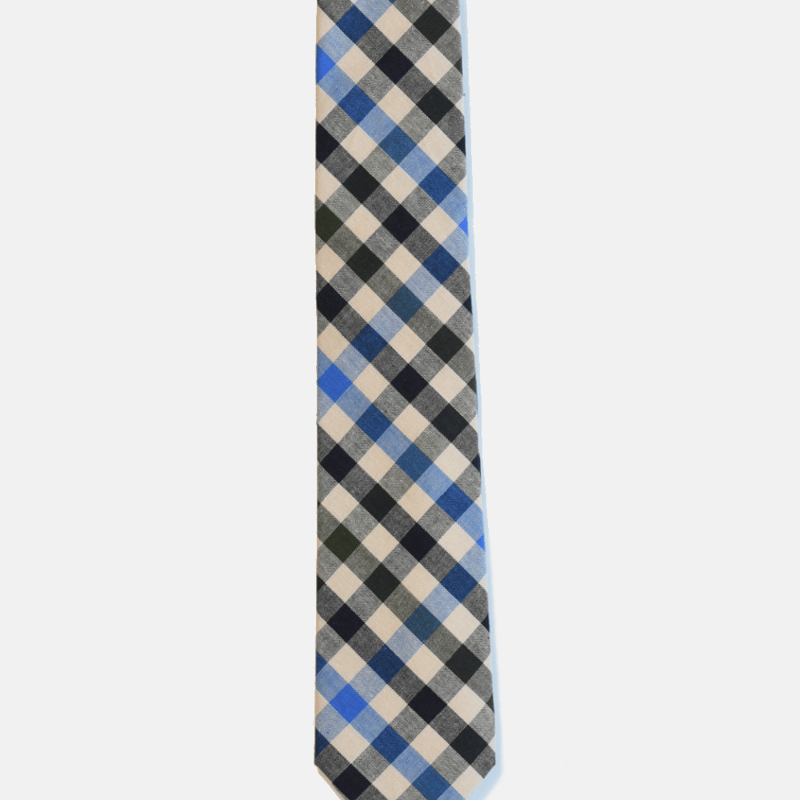 Shop Curated Basics Blue And Black Gingham Tie