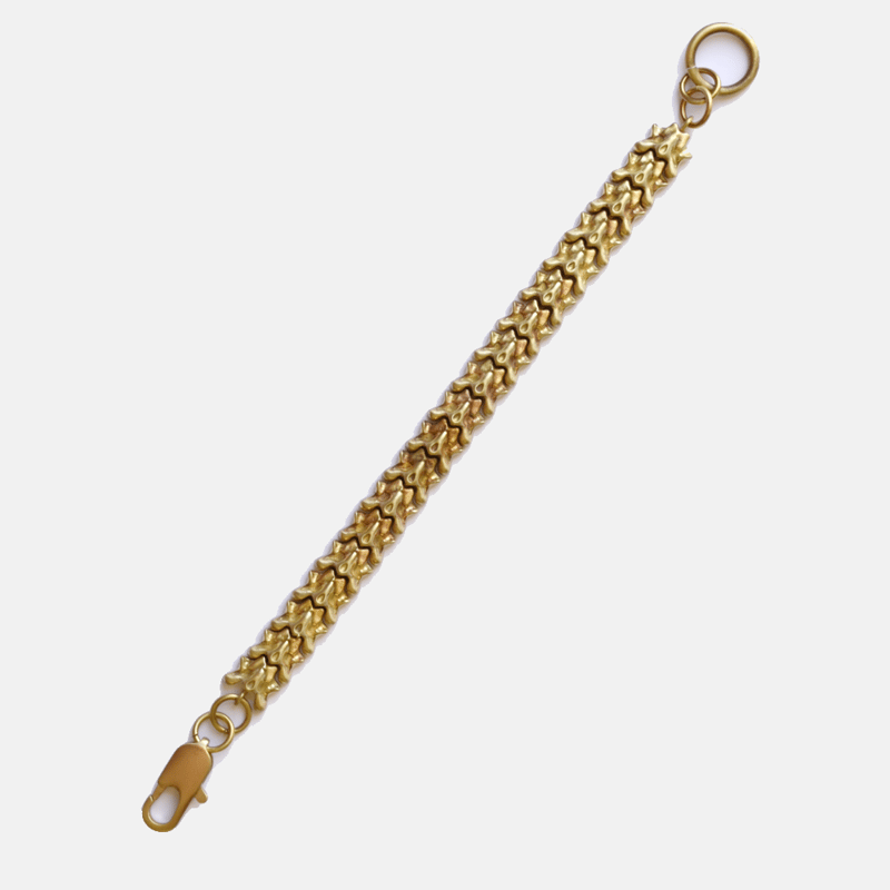 Curated Basics Vertebrate Brass Chain Bracelet In Brown