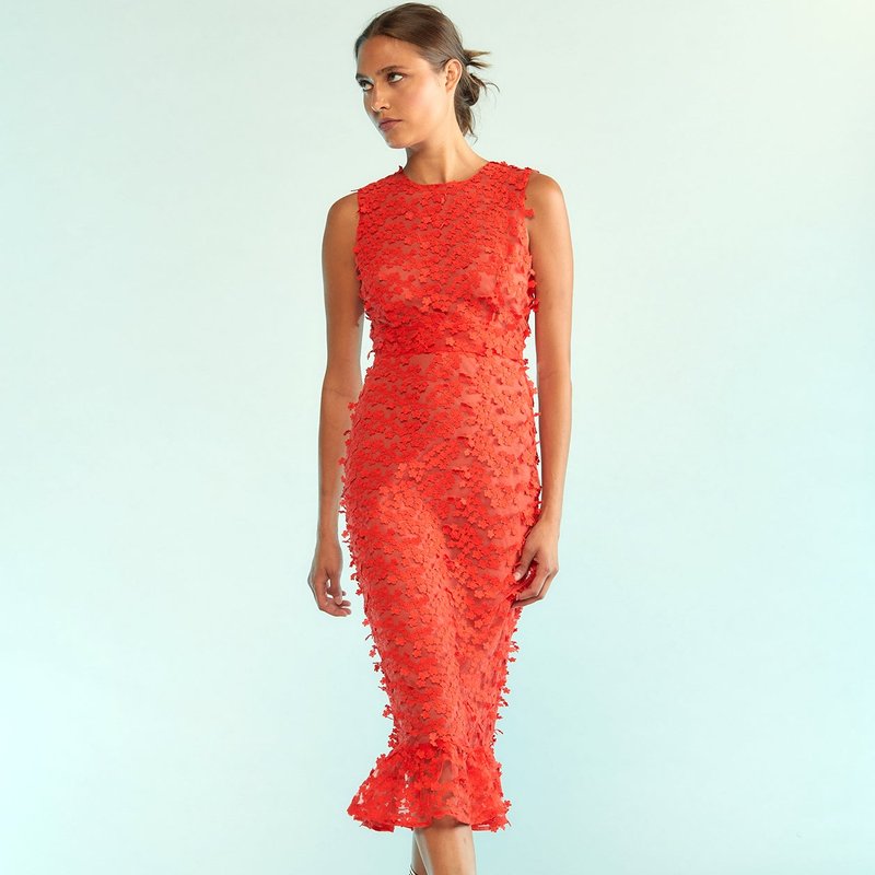 Shop Cynthia Rowley 3d Embroidered Tulle Dress In Red
