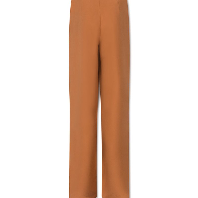 Shop Daige Hyde Trousers In Brown