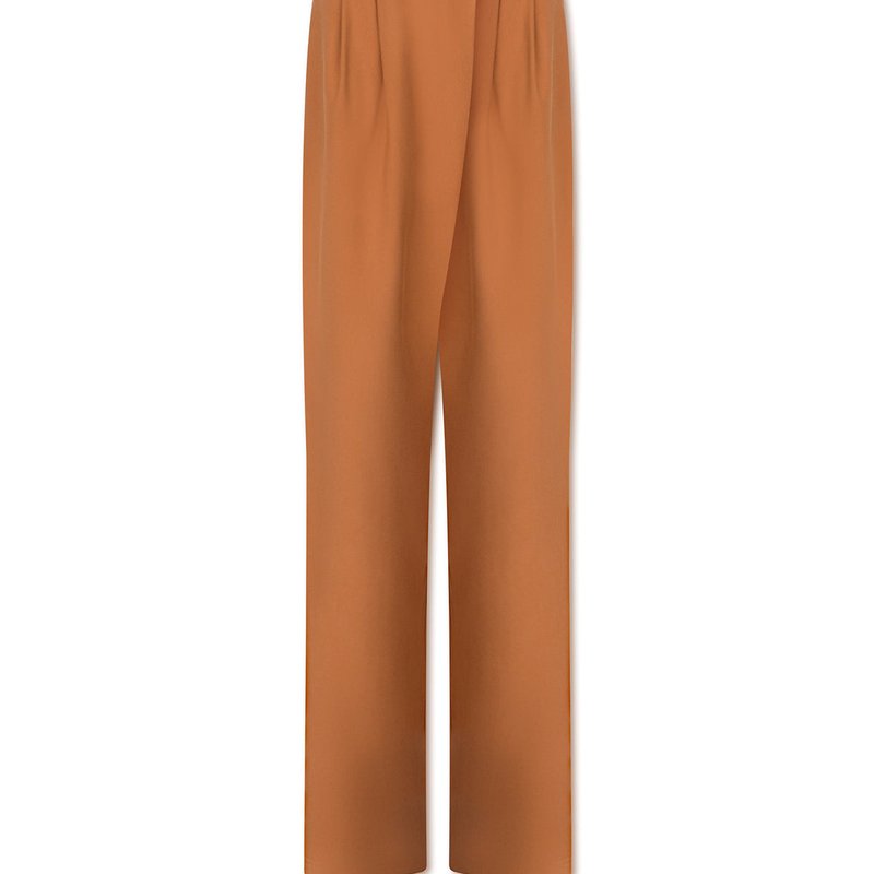 Shop Daige Hyde Trousers In Brown