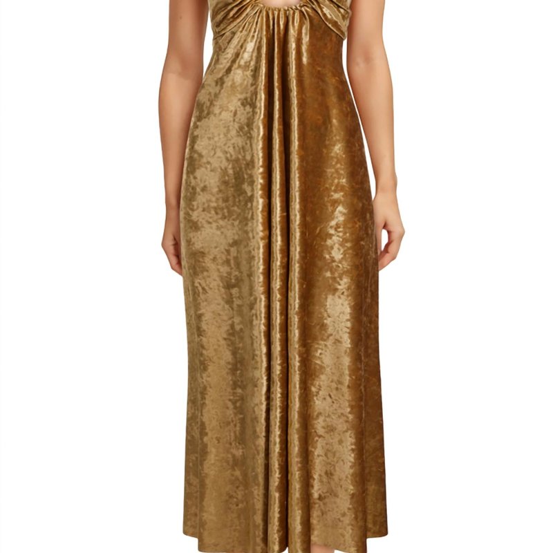 Shop Delfi Collective Alex Dress In Gold