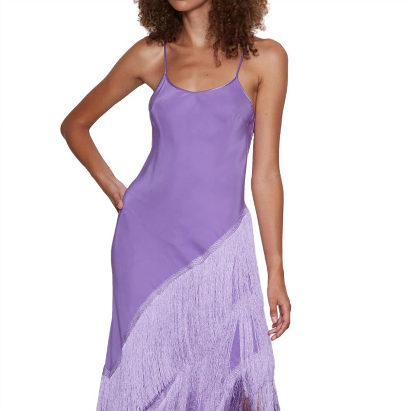 Shop Delfi Collective Cristina Dress In Purple