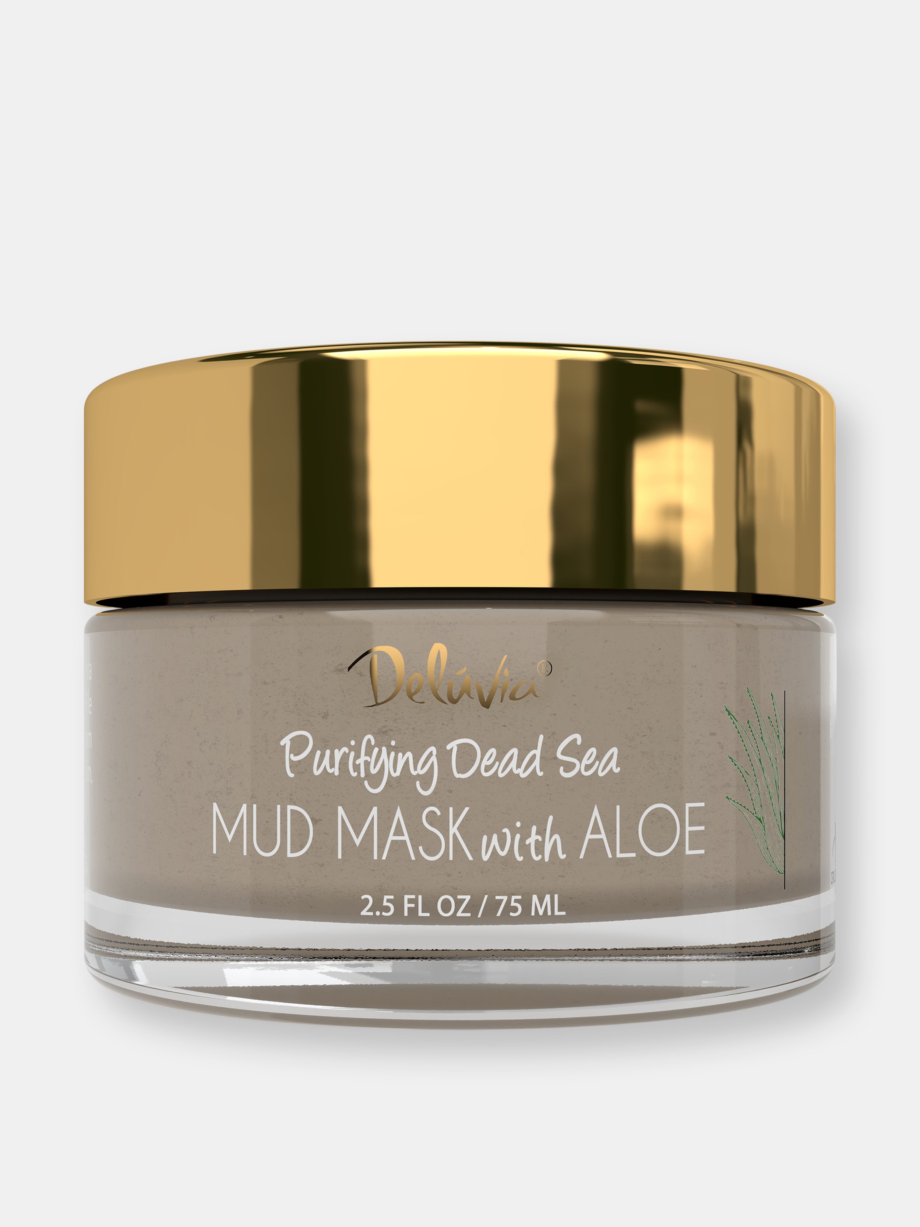 Deluvia Purifying Mud Mask