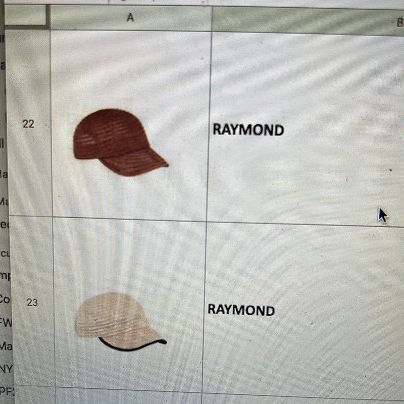 D'estree Destree Raymond Hat In Brown