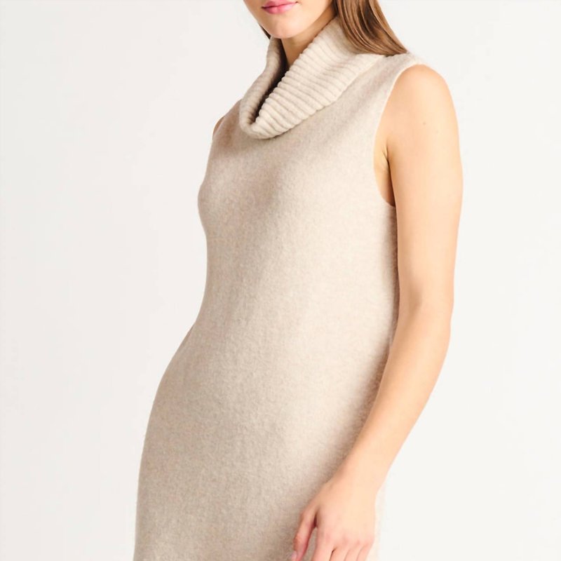 Shop Dex Giselle Sleeveless Turtleneck Dress In Light Taupe In Brown