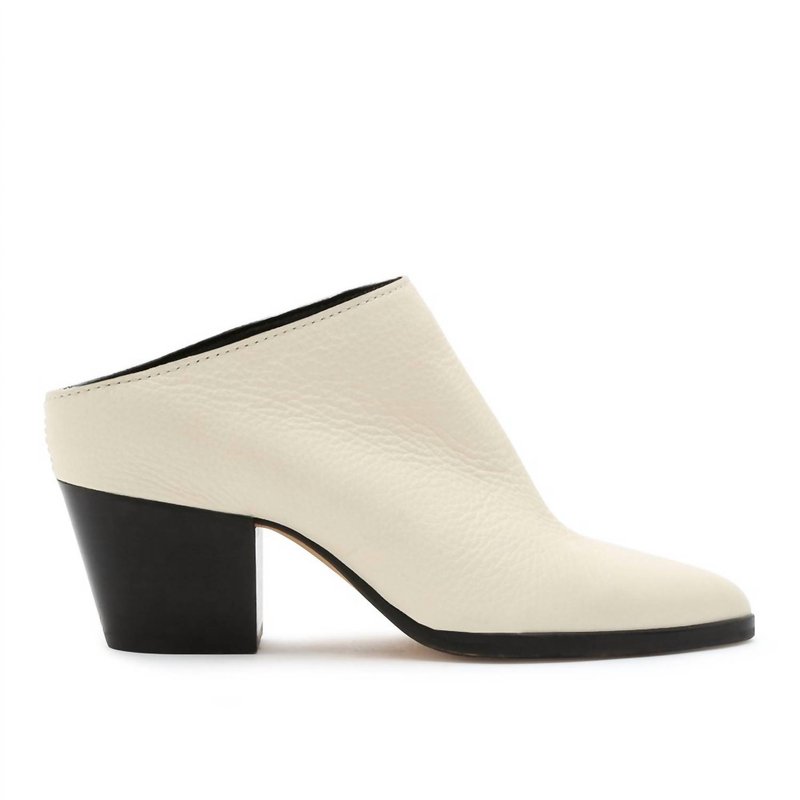 Shop Dolce Vita Roya Leather Mule In White