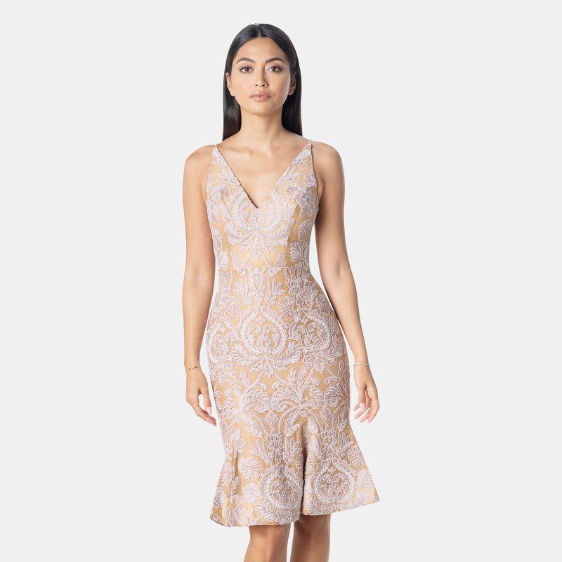 Dress The Population Isabelle Dress In Blush Multi