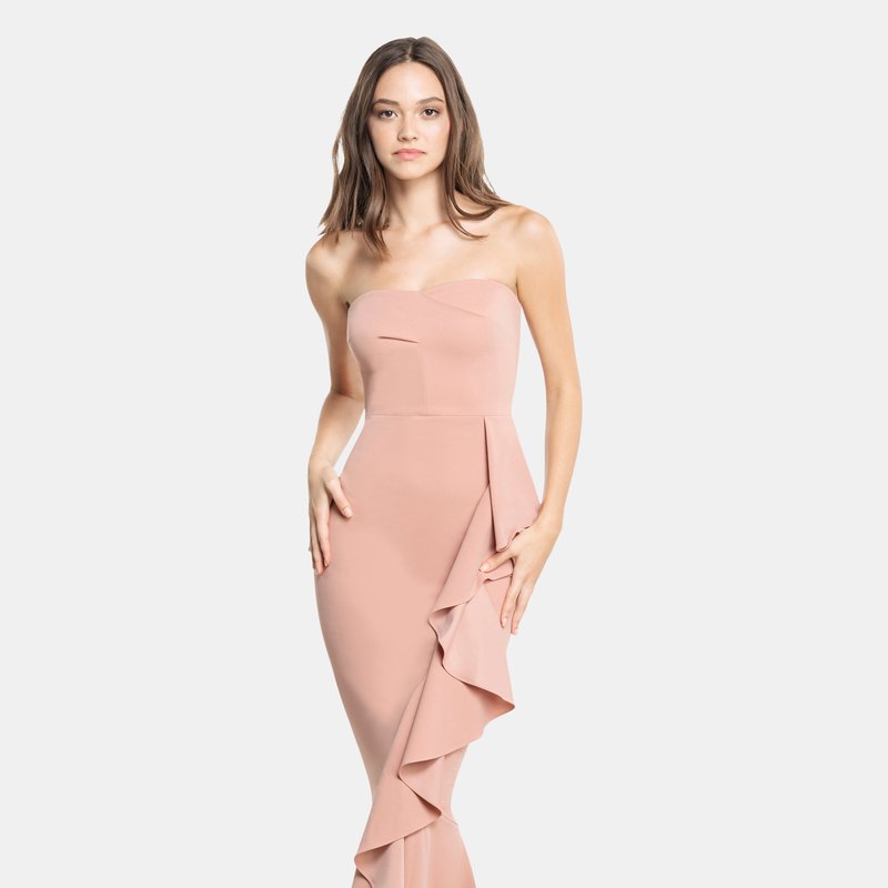 Dress The Population Paris Gown In Blush
