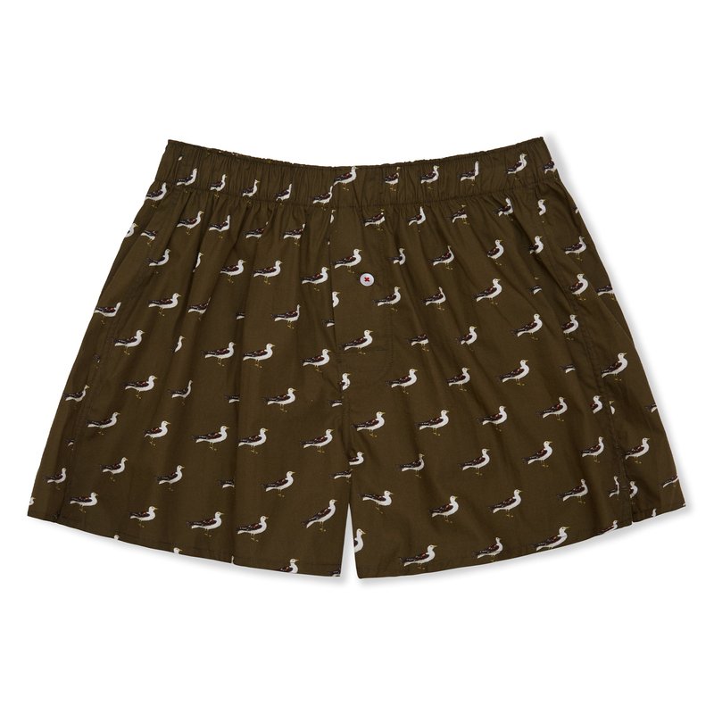 Druthers Organic Cotton Seagull Boxer Shorts In Green