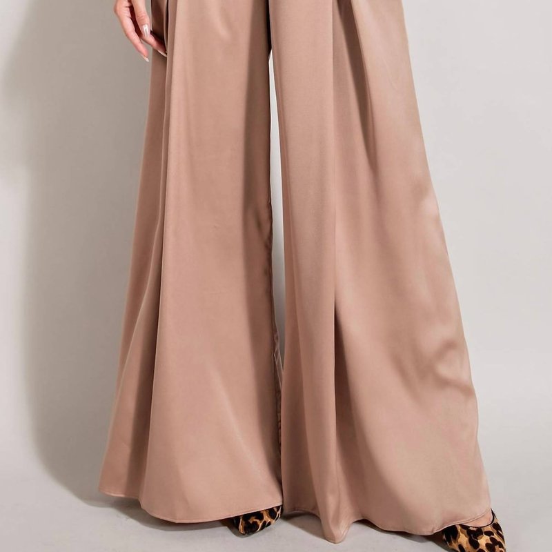Shop Eesome High Waist Pleated Wide Leg Pants In Brown