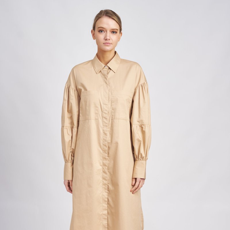 Shop En Saison Ryleigh Shirt Dress In Brown