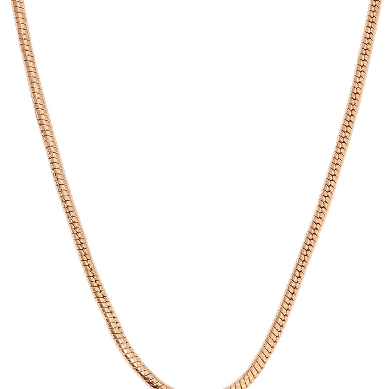 Shop Ettika Classic 18k Gold Plated Snake Chain Necklace In Yellow