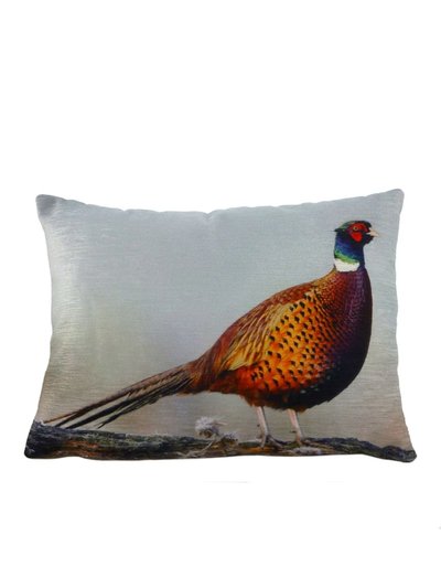 Evans Lichfield Evans Lichfield Pheasant Cushion Cover (Multicolored) (One Size) product