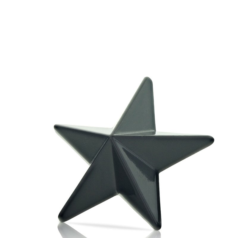Fang Three-dimensional Black Star Stud Earring