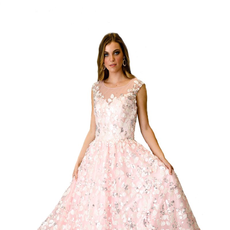 Farah Naz New York Illusion Neck Floor-length Flare Gown In Pink