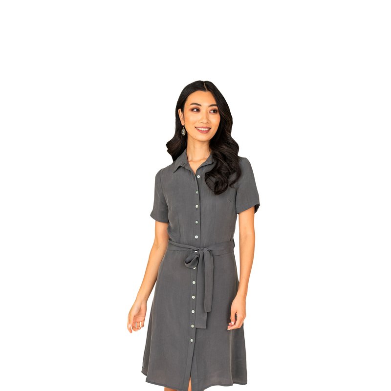 Farah Naz New York Silk Button Down Collar Dress In Grey