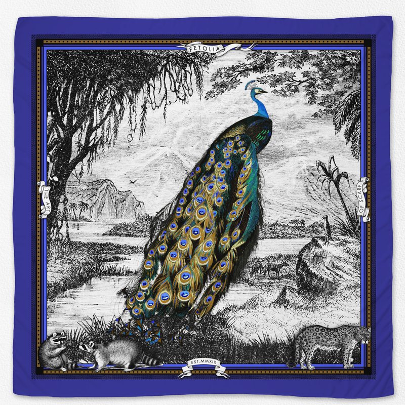Fetolia Peacock Feathers Scarf In Blue