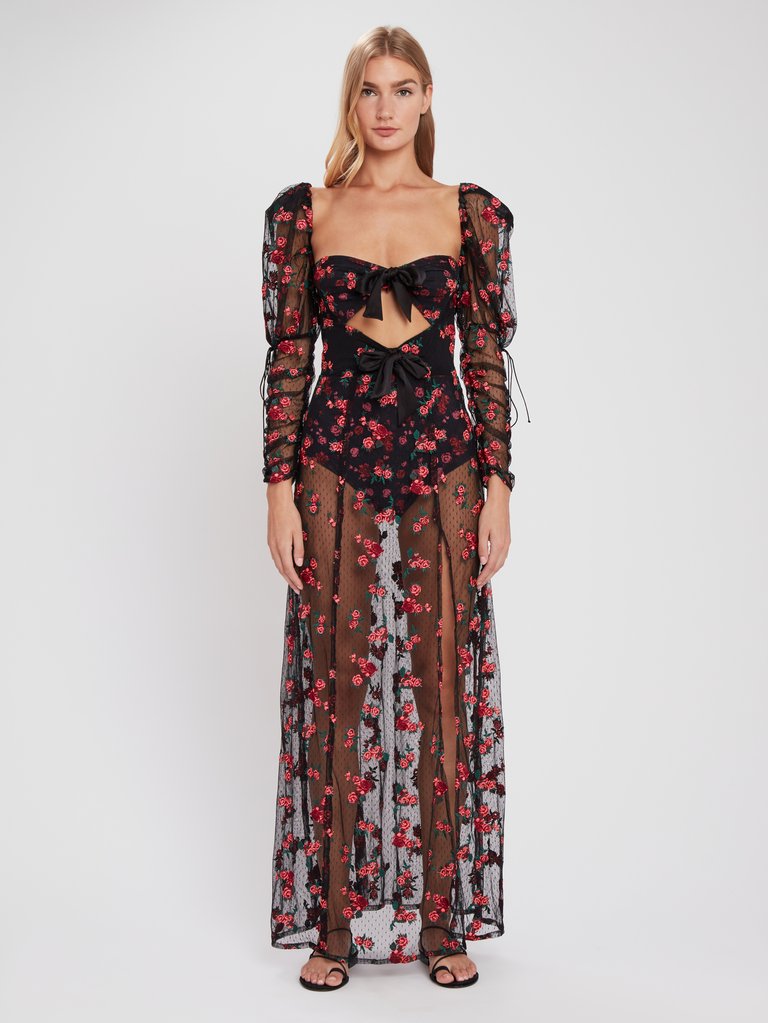 For Love & Lemons Blondie Embroidered Tulle Puff Sleeve Maxi Dress ...