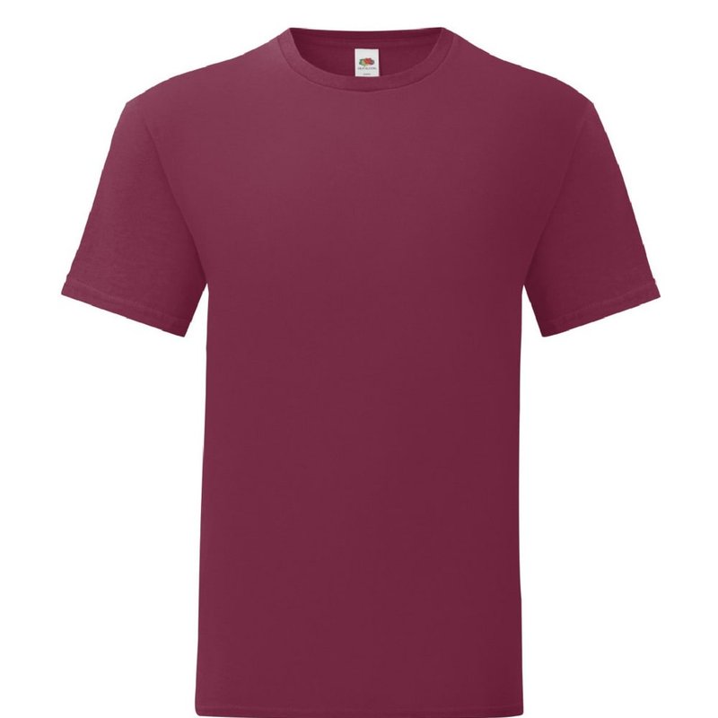 Fruit Of The Loom Mens Iconic 150 T-shirt (burgundy) In Purple