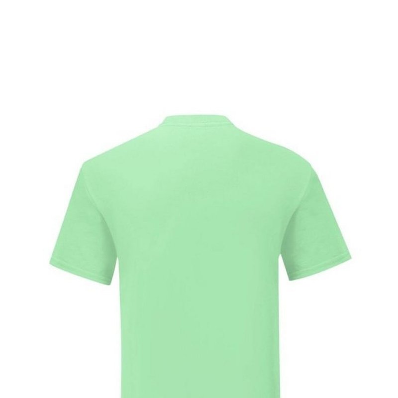 Shop Fruit Of The Loom Mens Iconic 150 T-shirt (mint Green)