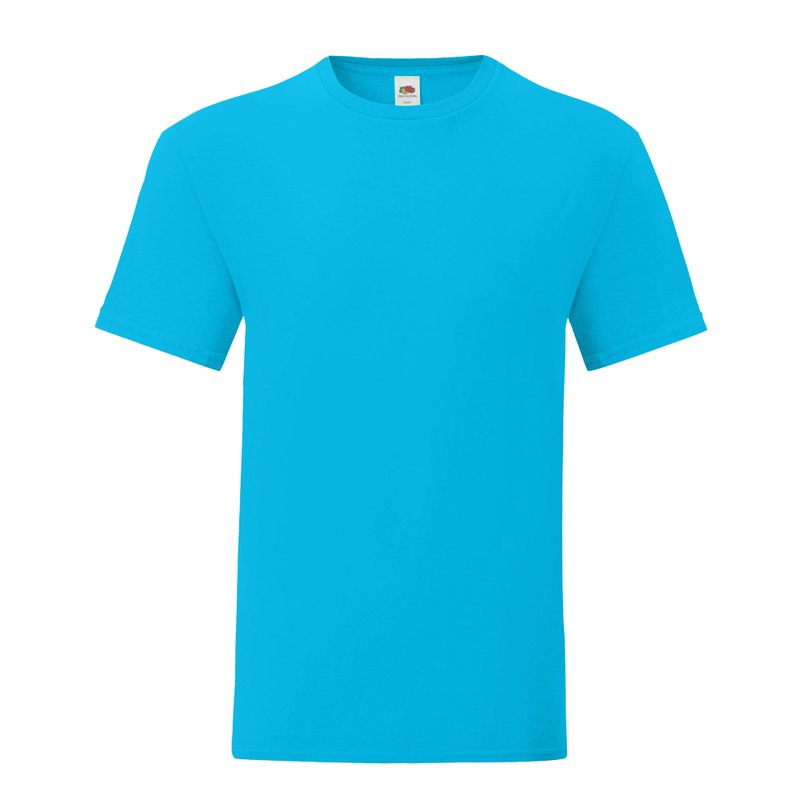 Shop Fruit Of The Loom Mens Iconic 150 T-shirt In Blue